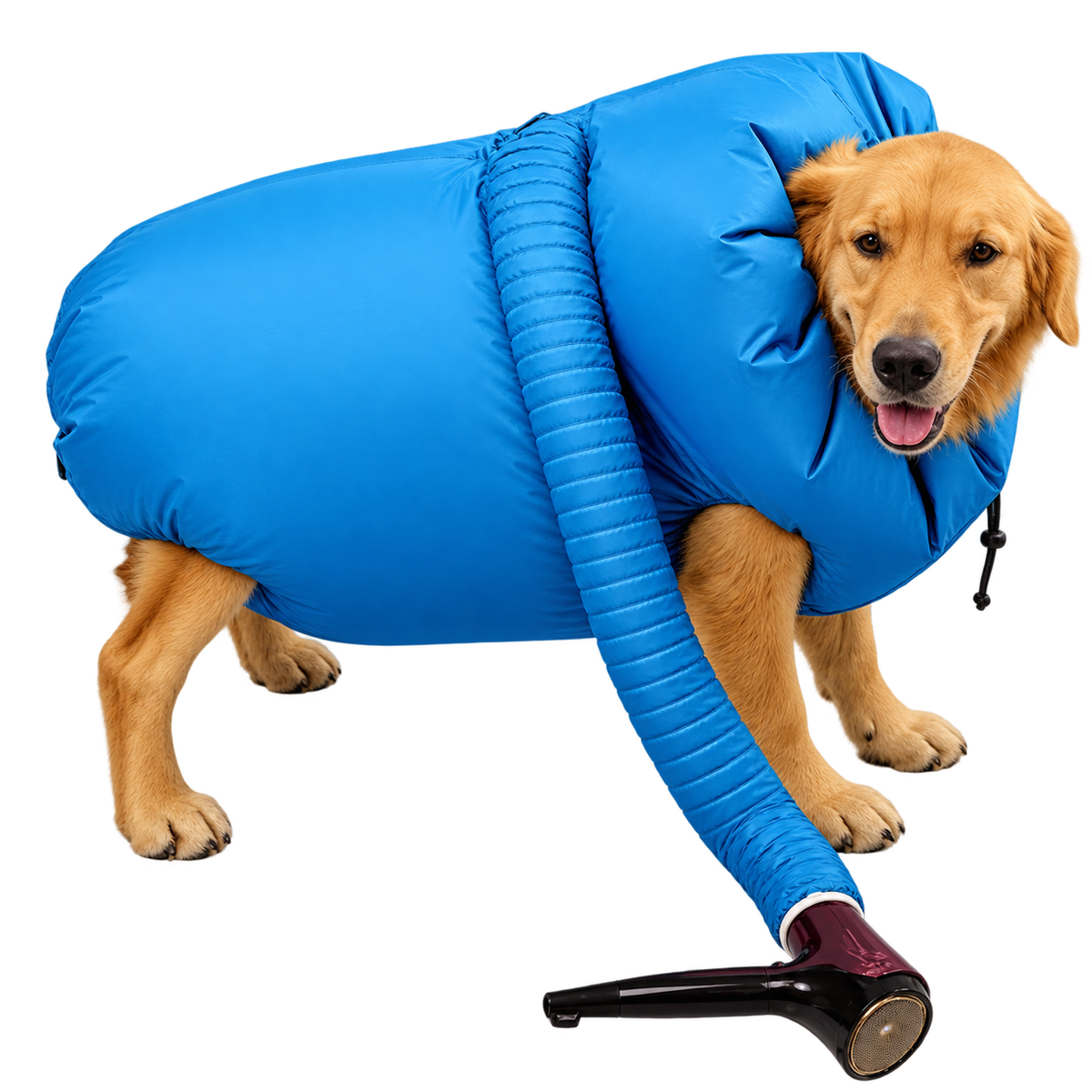 Portable Pet Drying & Coat Care System